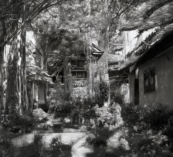 石家庄宣传广告设计案例 石家庄宣传广告设计案例